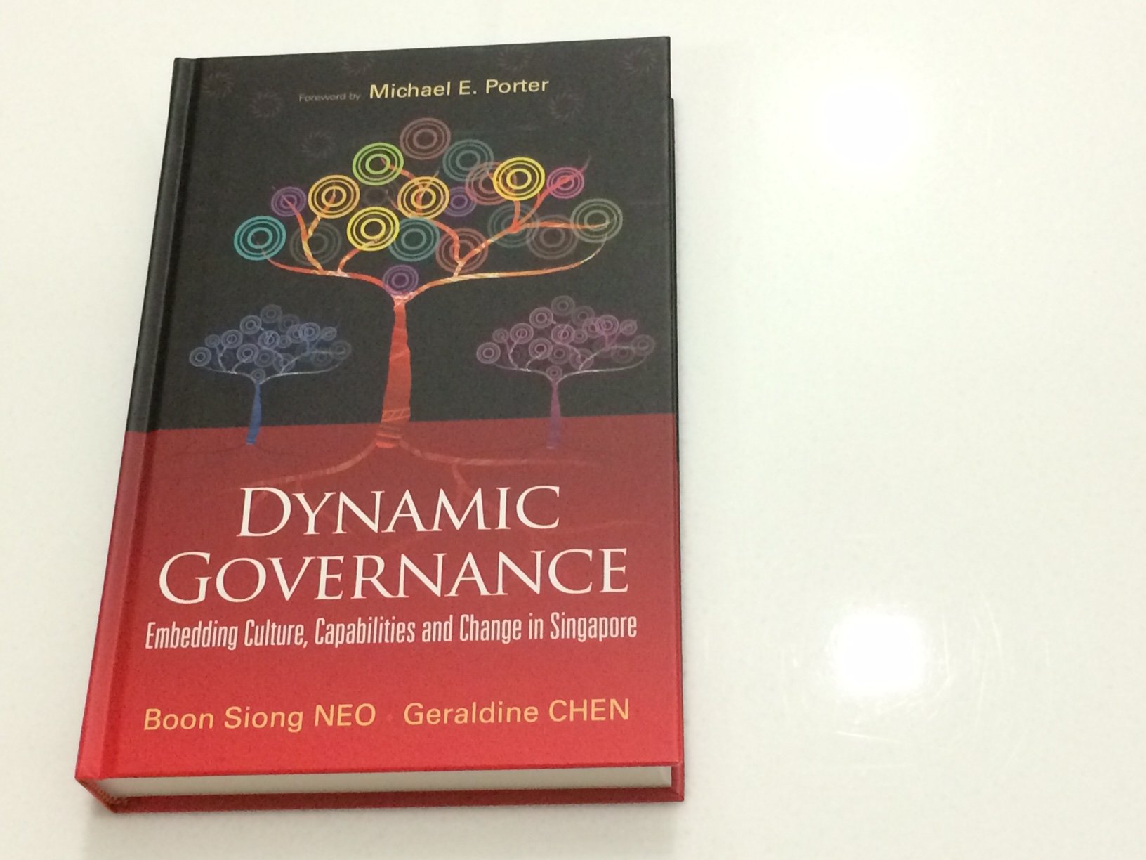 Dynamic Governance: Embedding Culture, Capabilities and Change in Singapore (English Version) book