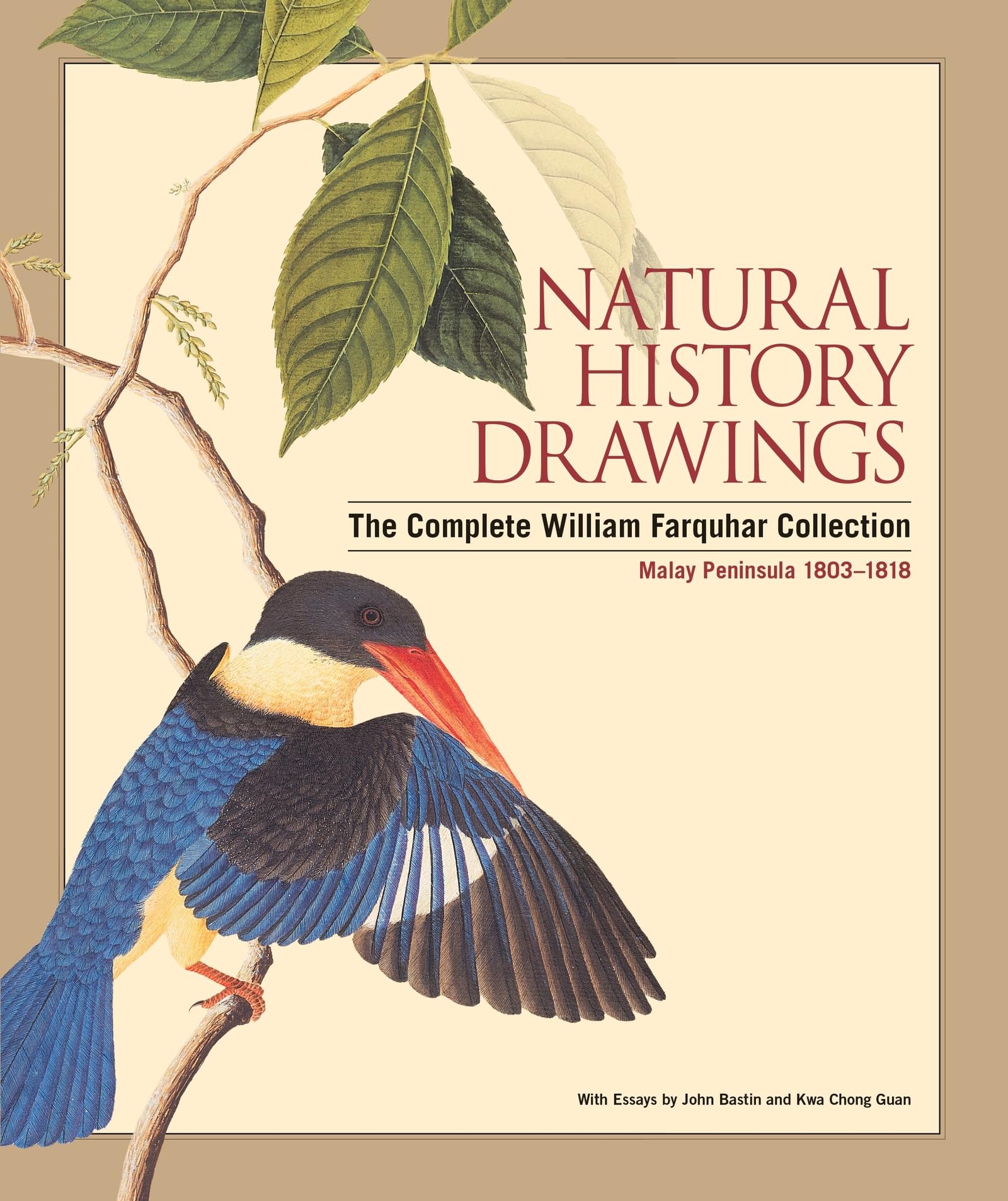 Natural History Drawings: The Complete William Farquhar Collection, Malay Peninsula 1803-1818: The Complete Farquhar Mathematics