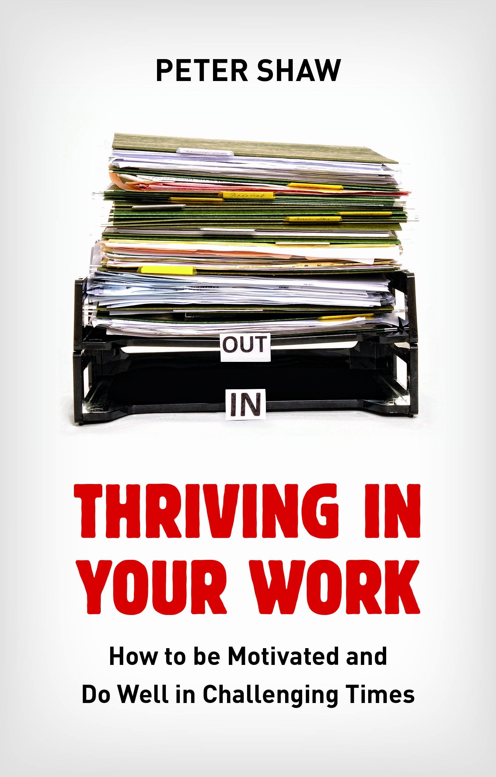 Thriving in Your Work: How to Succeed and Remain Motivated in Challenging Times Business, Finance & Career