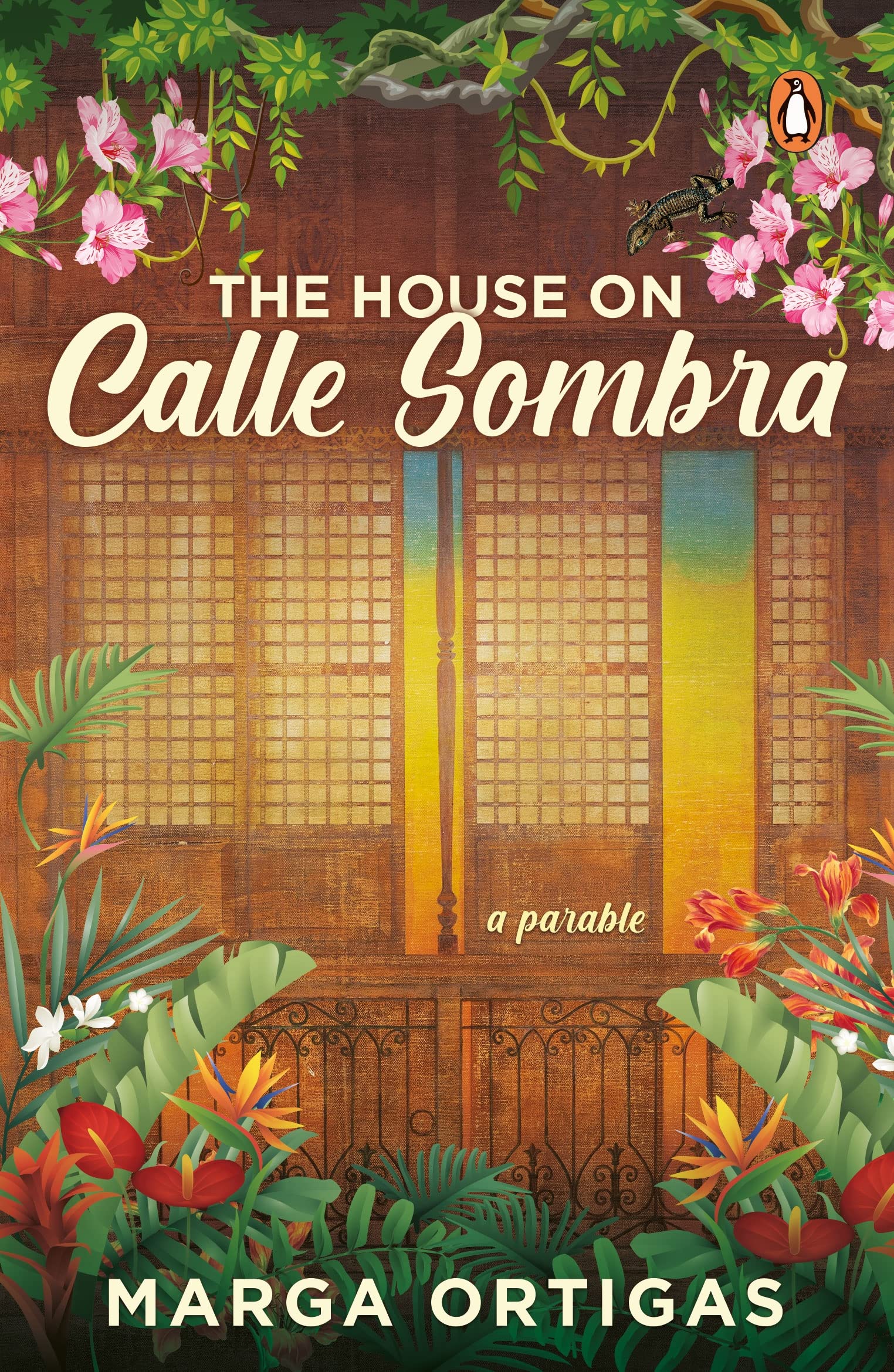 The House on Calle Sombra - A parable Contemporary literature