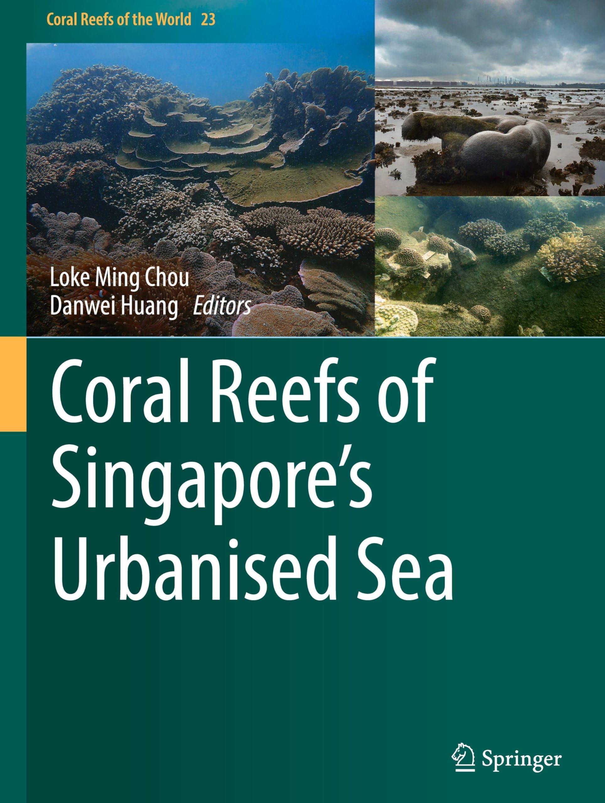 Coral Reefs of Singapore's Urbanised Sea Business & Technology