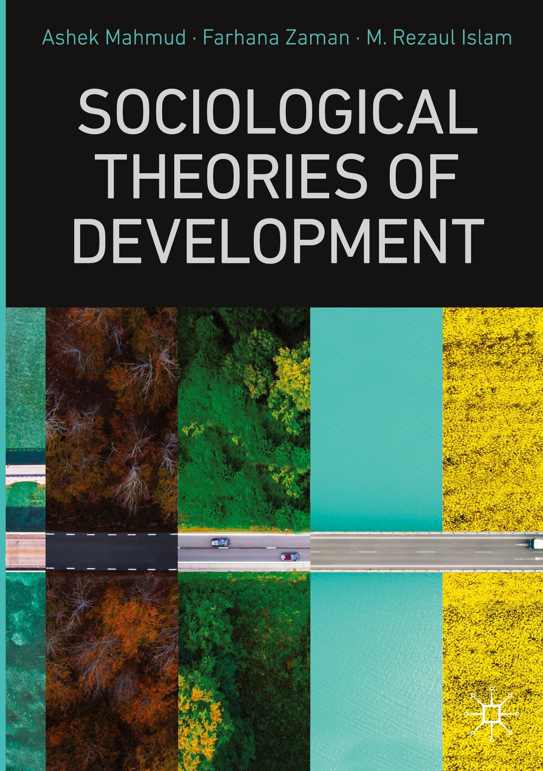 Sociological Theories of Development Law