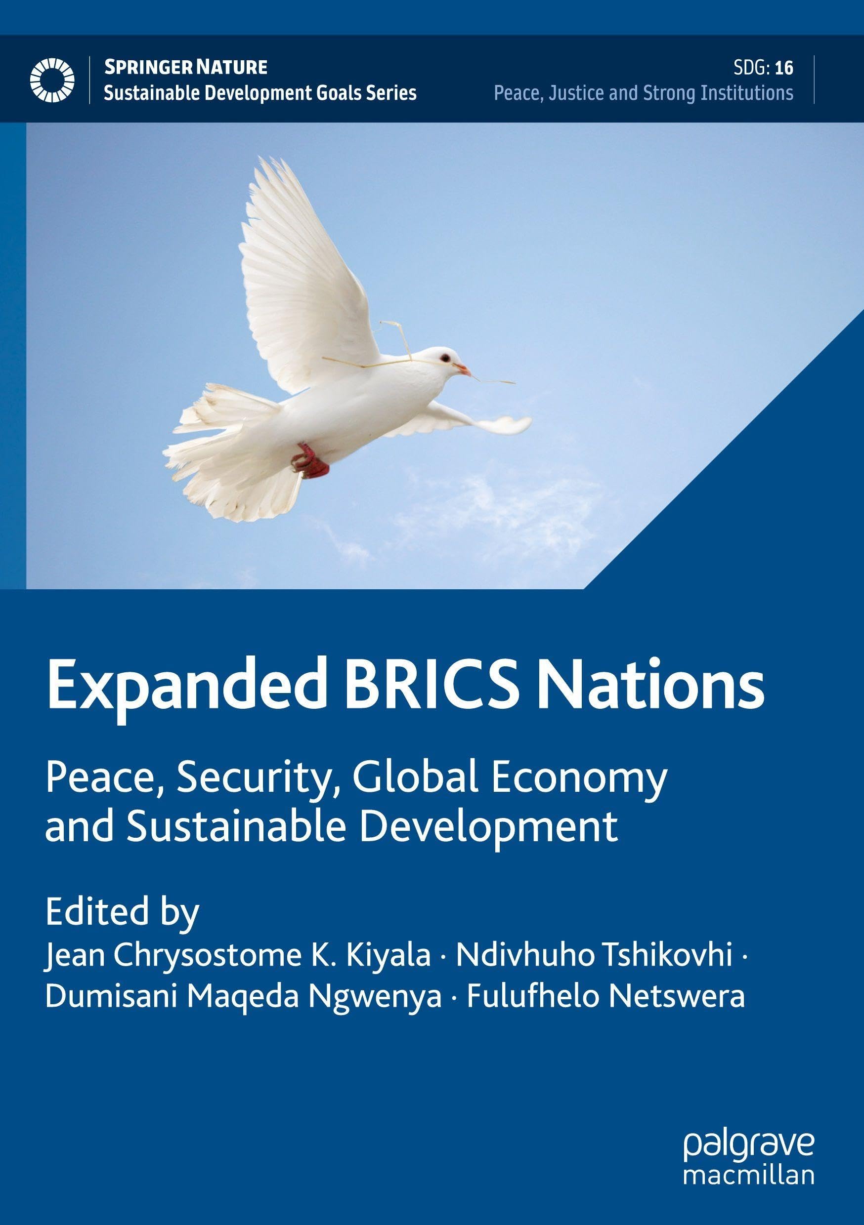 Expanded BRICS Nations: Peace, Security, Global Economy and Sustainable Development (Sustainable Development Goals Series) Law