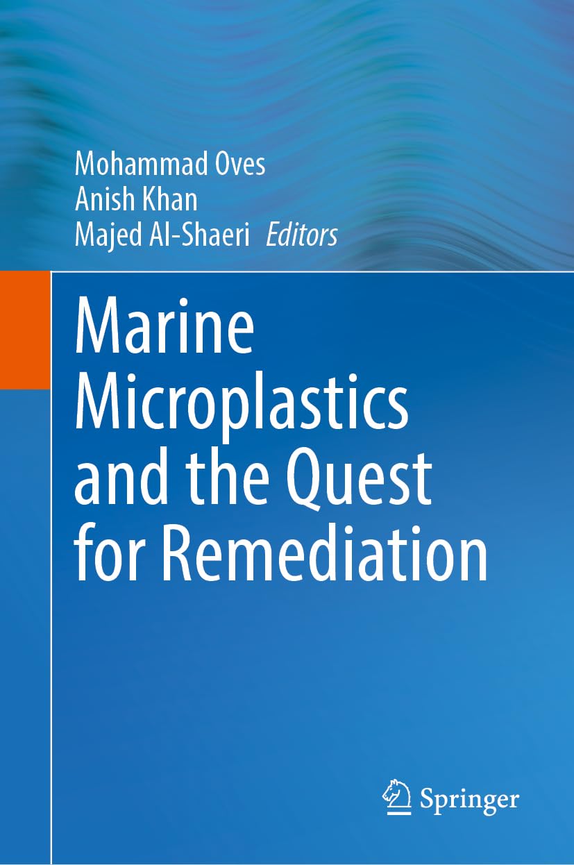 Marine Microplastics and the Quest for Remediation Mathematics
