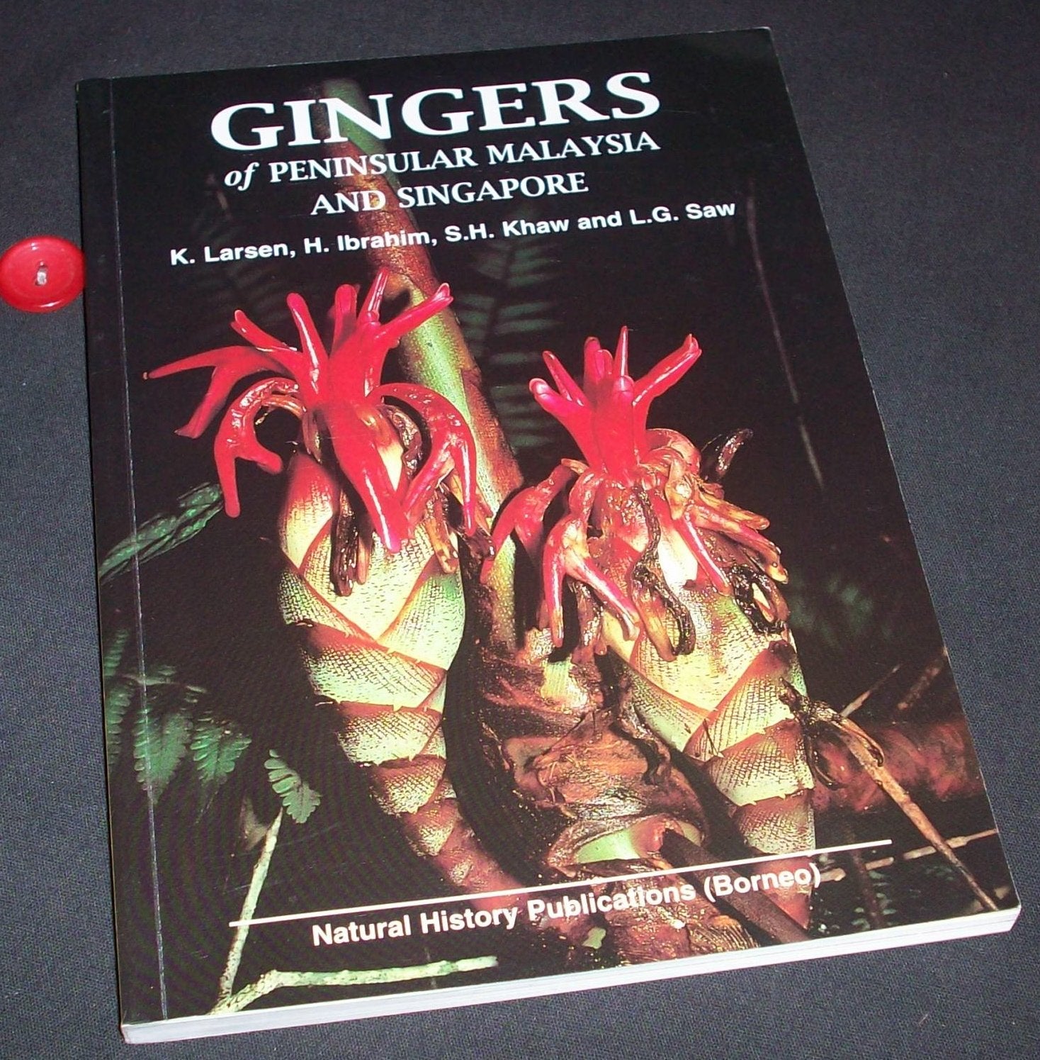 Gingers of Peninsular Malaysia and Singapore Business & Technology