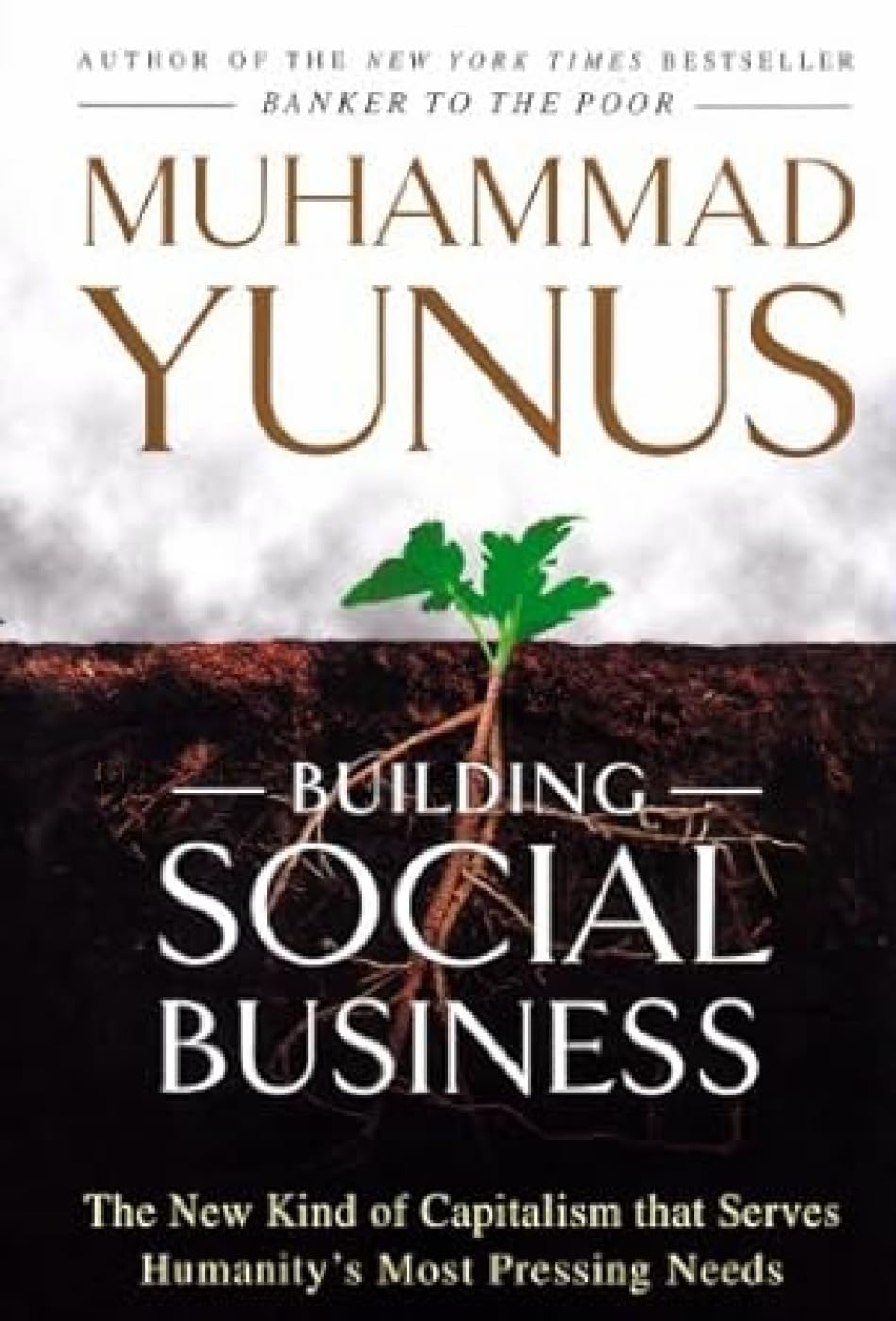 Building Social Business Business, Finance & Career