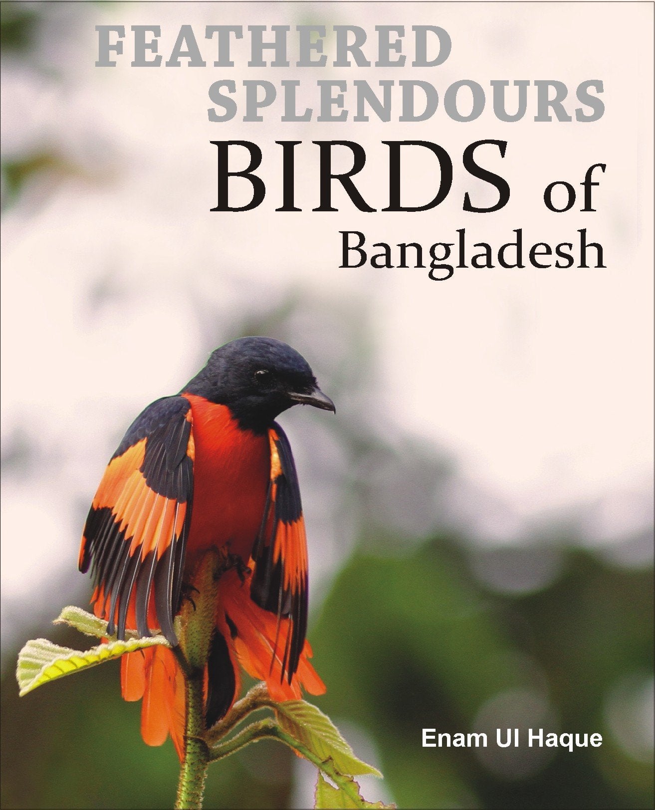 Feathered Splendours: Birds of Bangladesh book