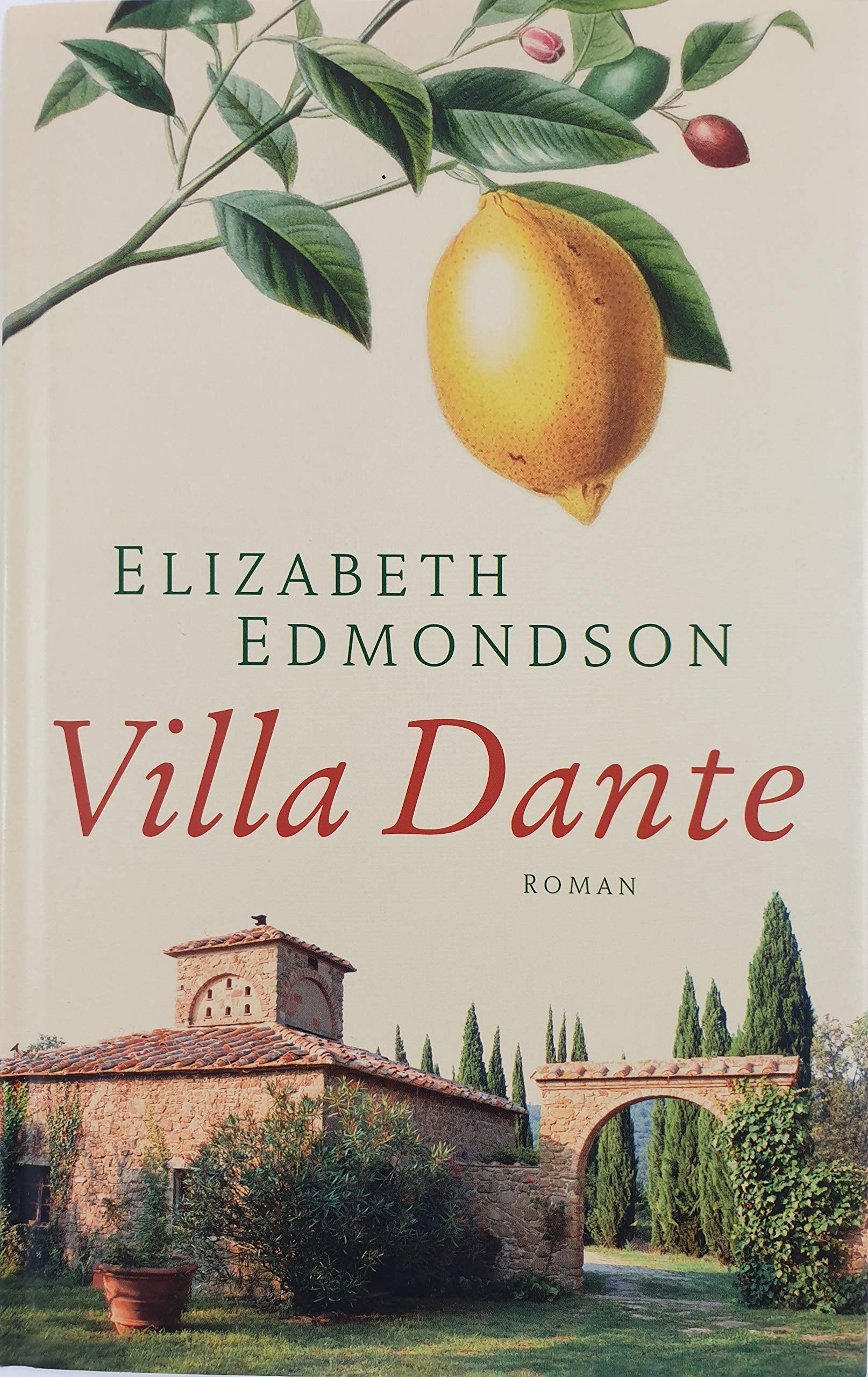 Villa Dante/ the Villa in Italy book