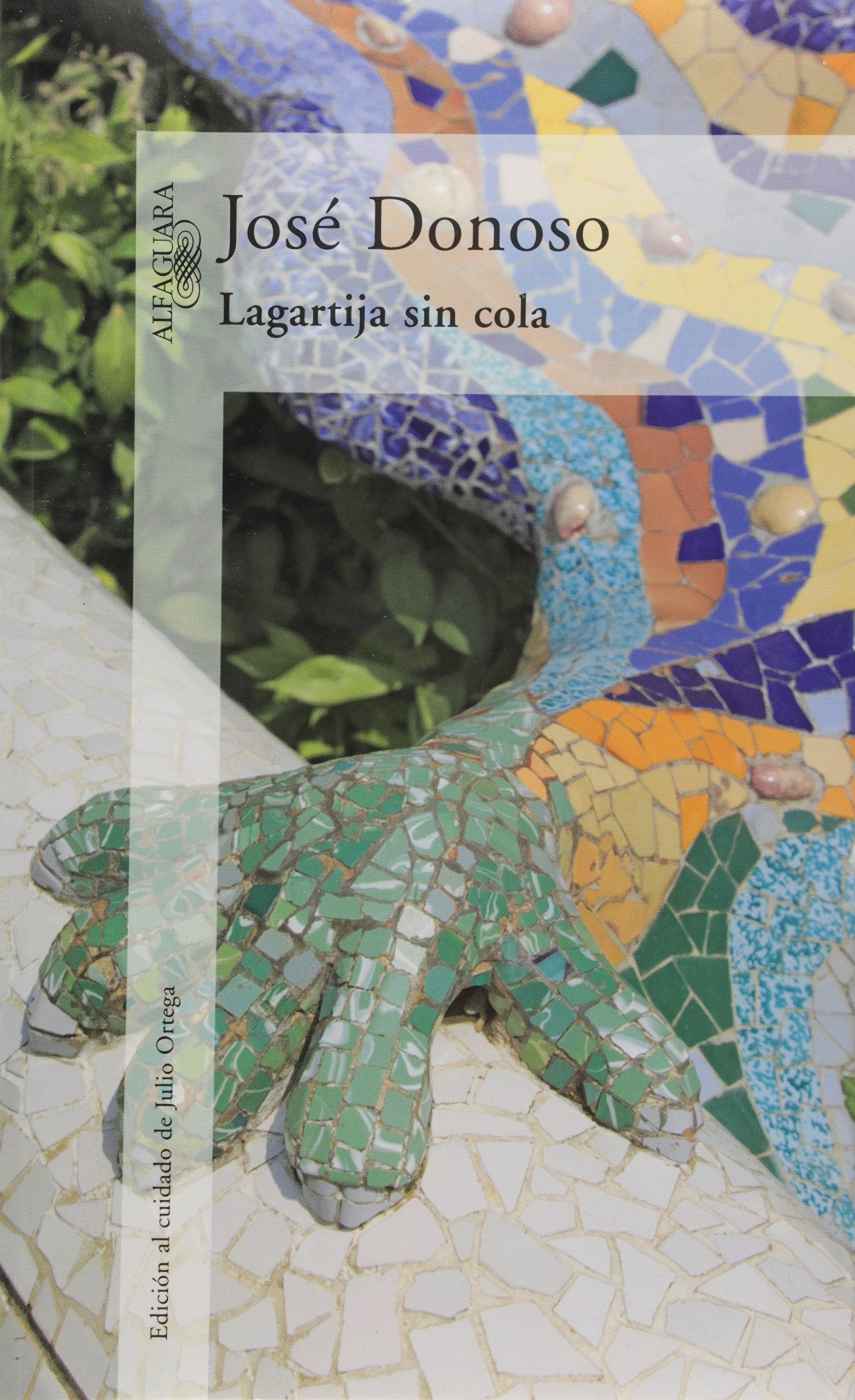 Lagartija Sin Cola Books