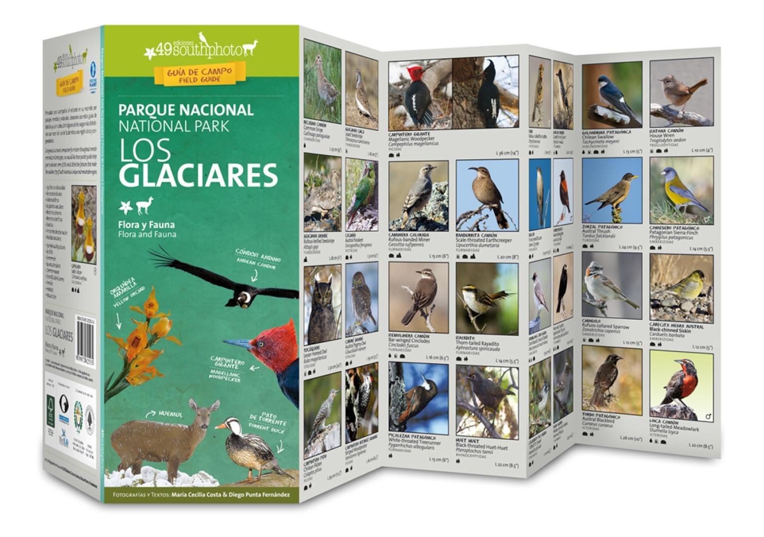 Los Glaciares National Park : Flora and Fauna : Pocket Guide Books