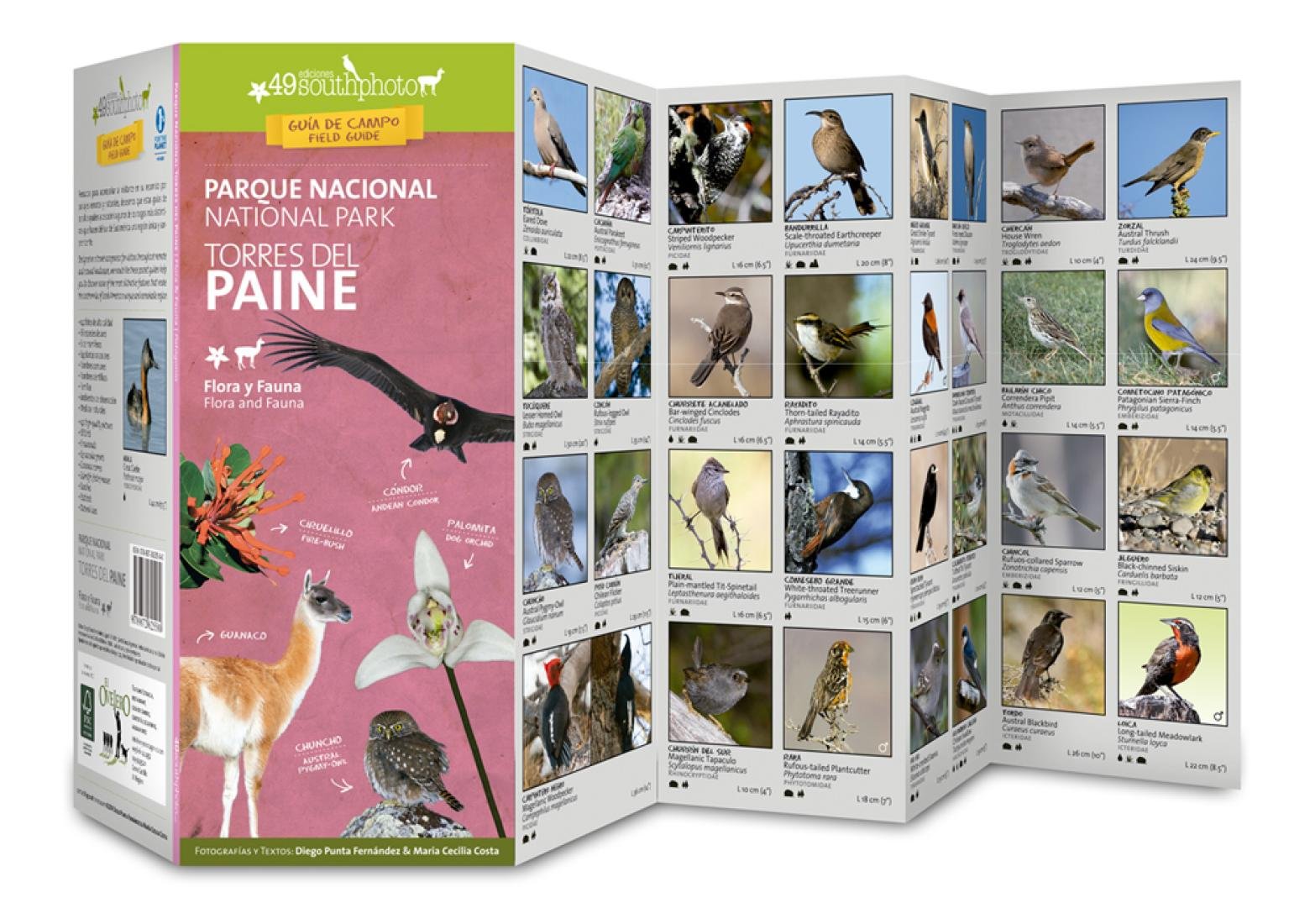 Torres del Paine National Park : Flora & Fauna : Pocket Guide Books