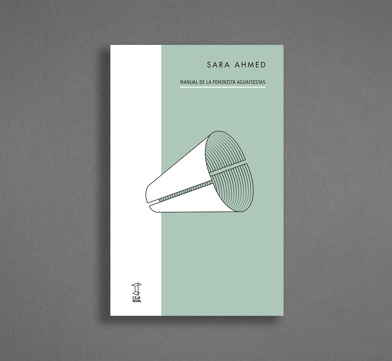 MANUAL DE LA FEMINISTA AGUAFIESTAS book