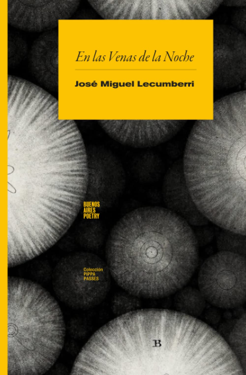 En las Venas de la Noche (Colección Pippa Passes (Buenos Aires Poetry), Band 8) Poetry