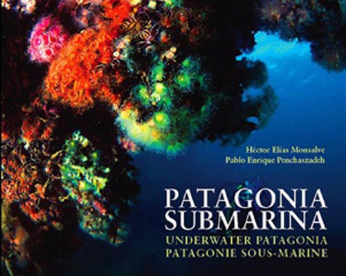 Patagonia submarina (Spanish Edition) Books