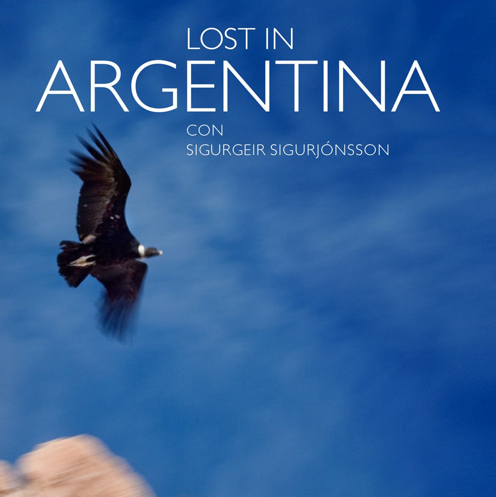 Lost in Argentina (Spanish Edition) Books