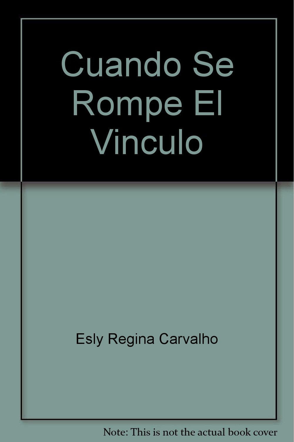 Cuando Se Rompe El Vinculo: Separacion, Divorcio Y Nuevo Casamiento Books