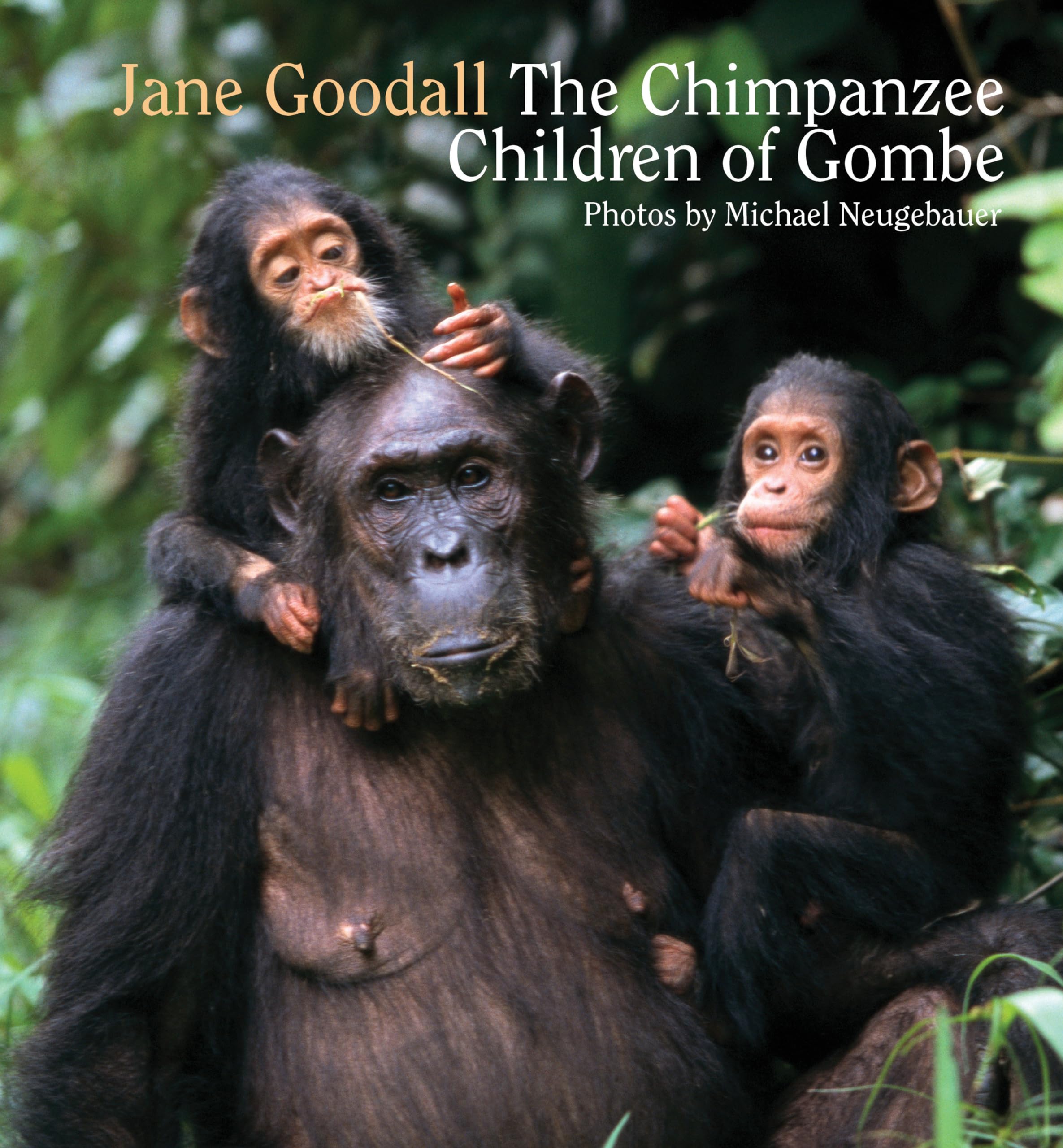 Chimpanzee Children of Gombe Non-fiction