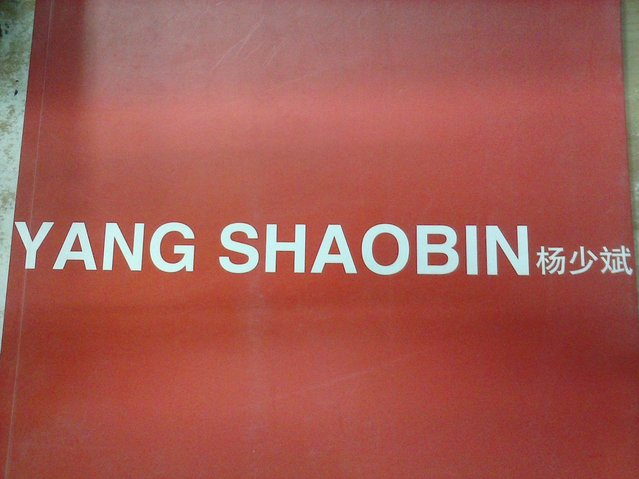 Hermann Nitsch / Yang Shaobin (Beijing) Apr 9 - Jun 11, 2006 White Space Beijing in 2 Teilen. . Books