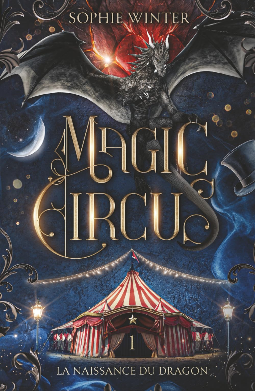 Magic Circus: Tome 1 - La naissance du dragon book