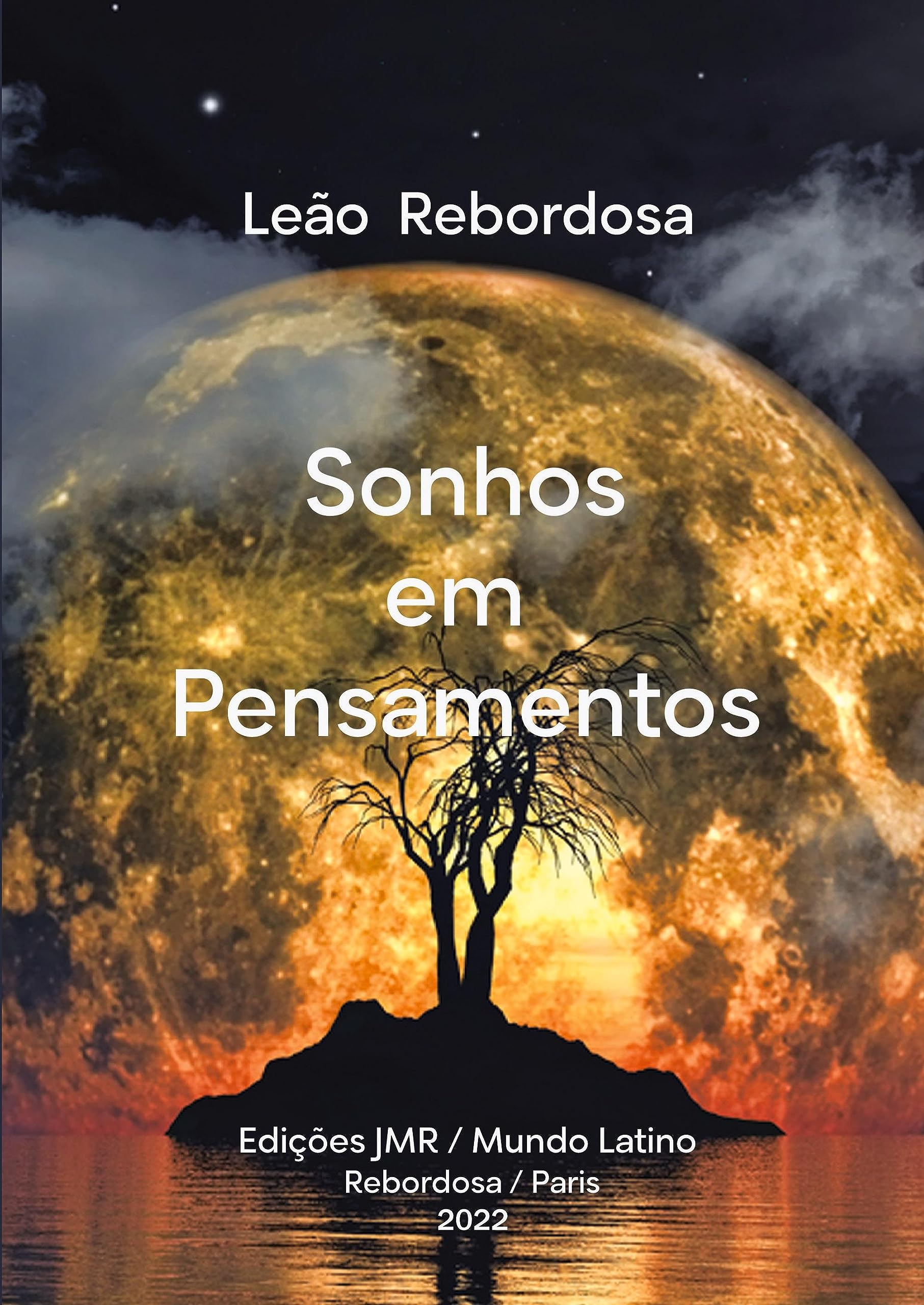 MEMÓRIAS INUNDADAS DE SENTIMENTOS book