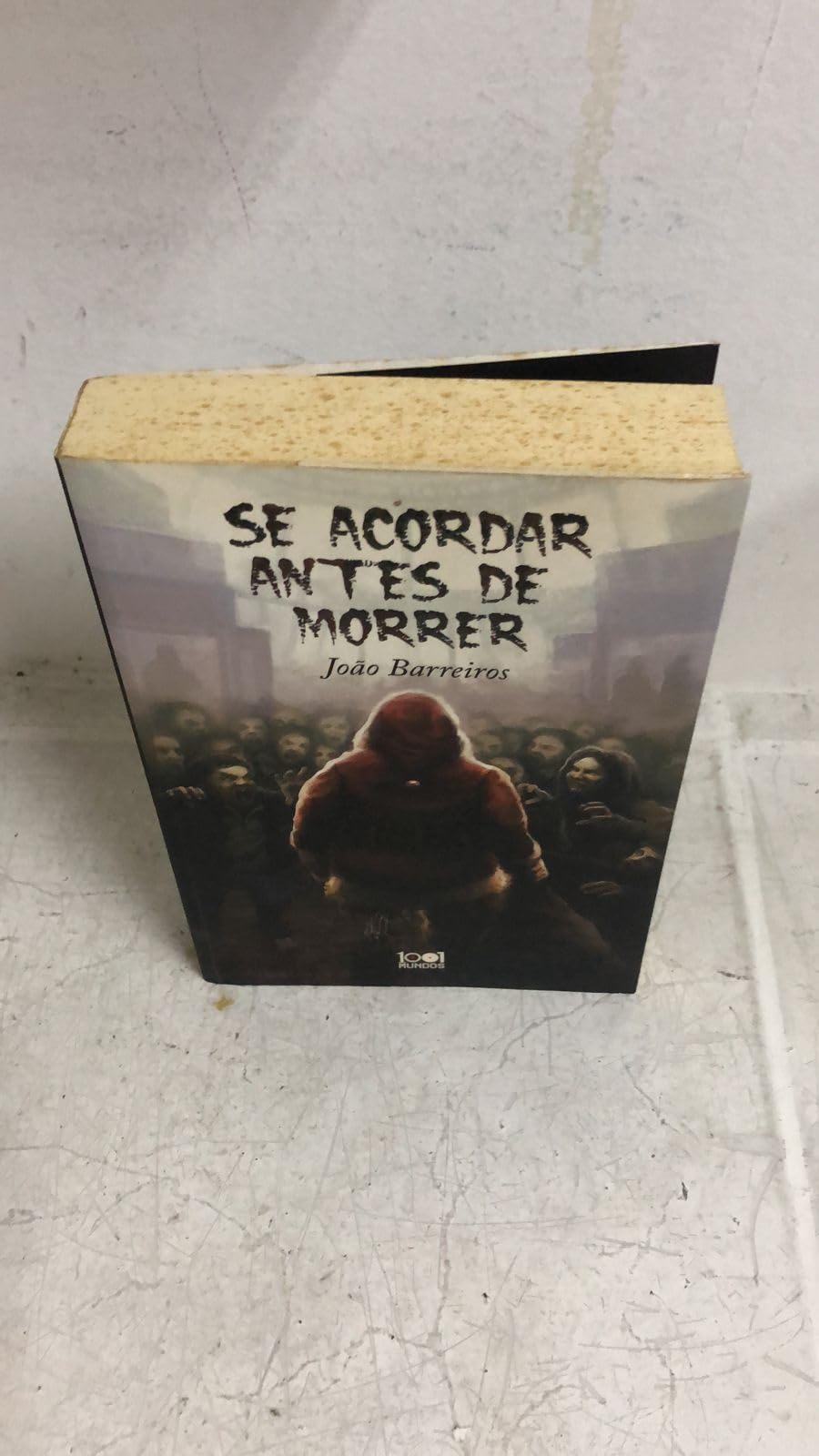 Se Acordar Antes de Morrer (Portuguese Edition) João Barreiros book