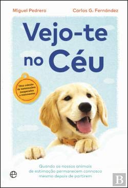 Vejo-te no Céu (Portuguese Edition) Carlos G. Fernández , Miguel Pedrero book
