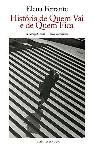 A Amiga Genial Vol.3 : História de Quem Vai e de Quem Fica Books