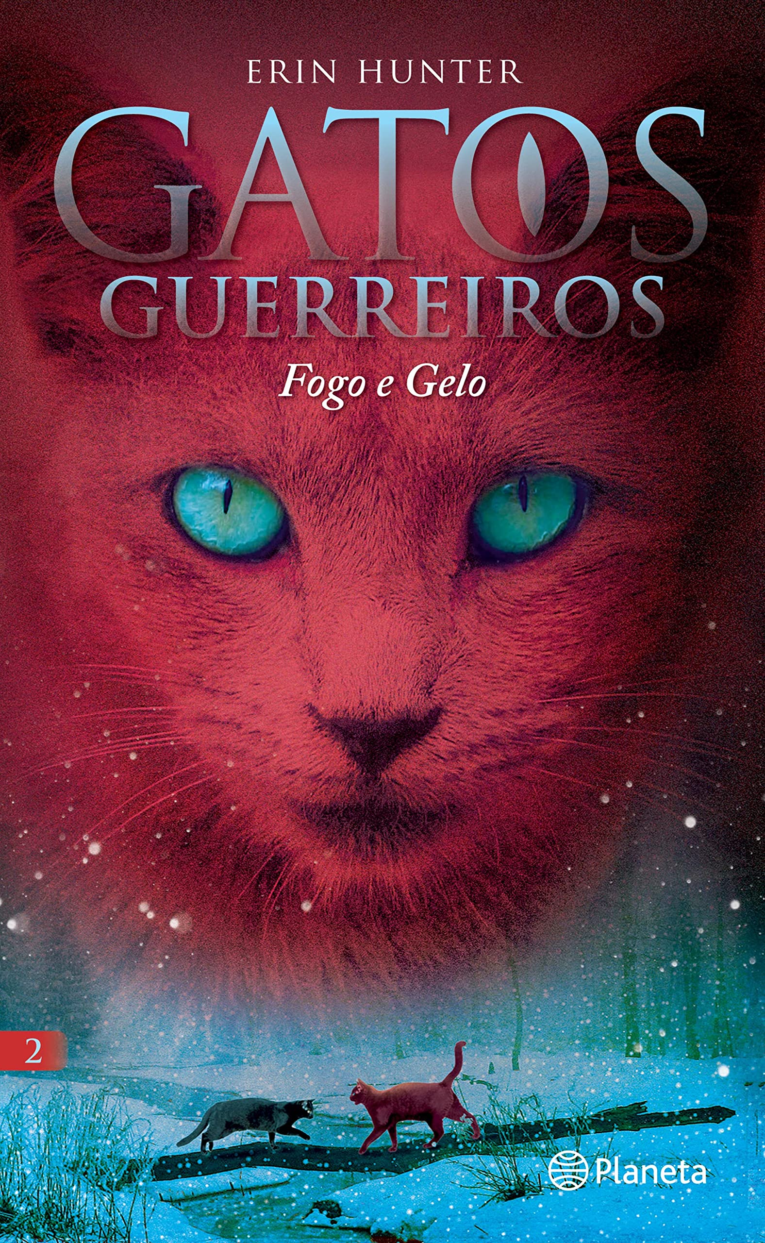 Fogo e Gelo – Gatos Guerreiros 2 book