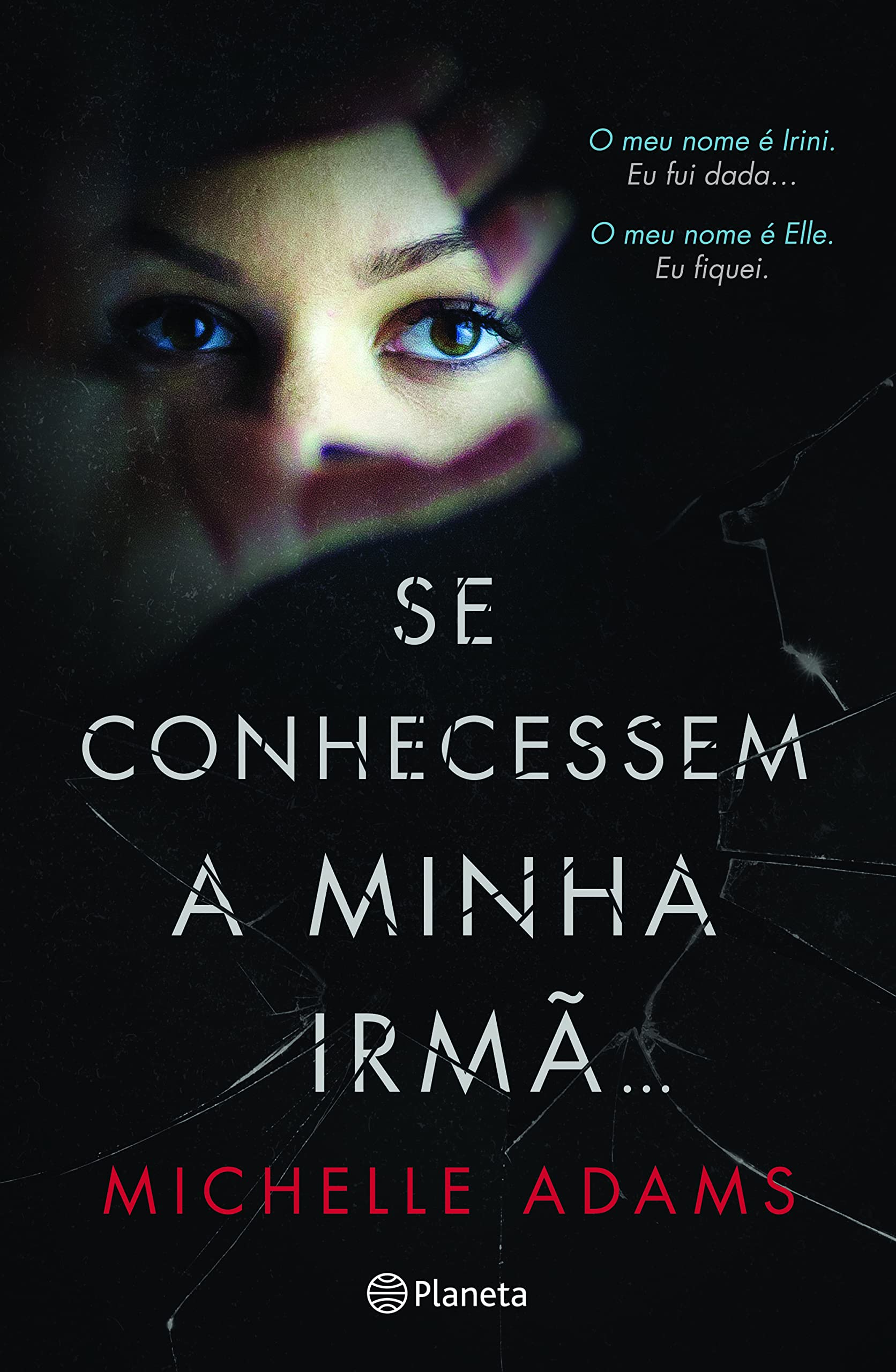 Se Conhecessem a Minha Irmã... (Portuguese Edition) Michelle Adams book