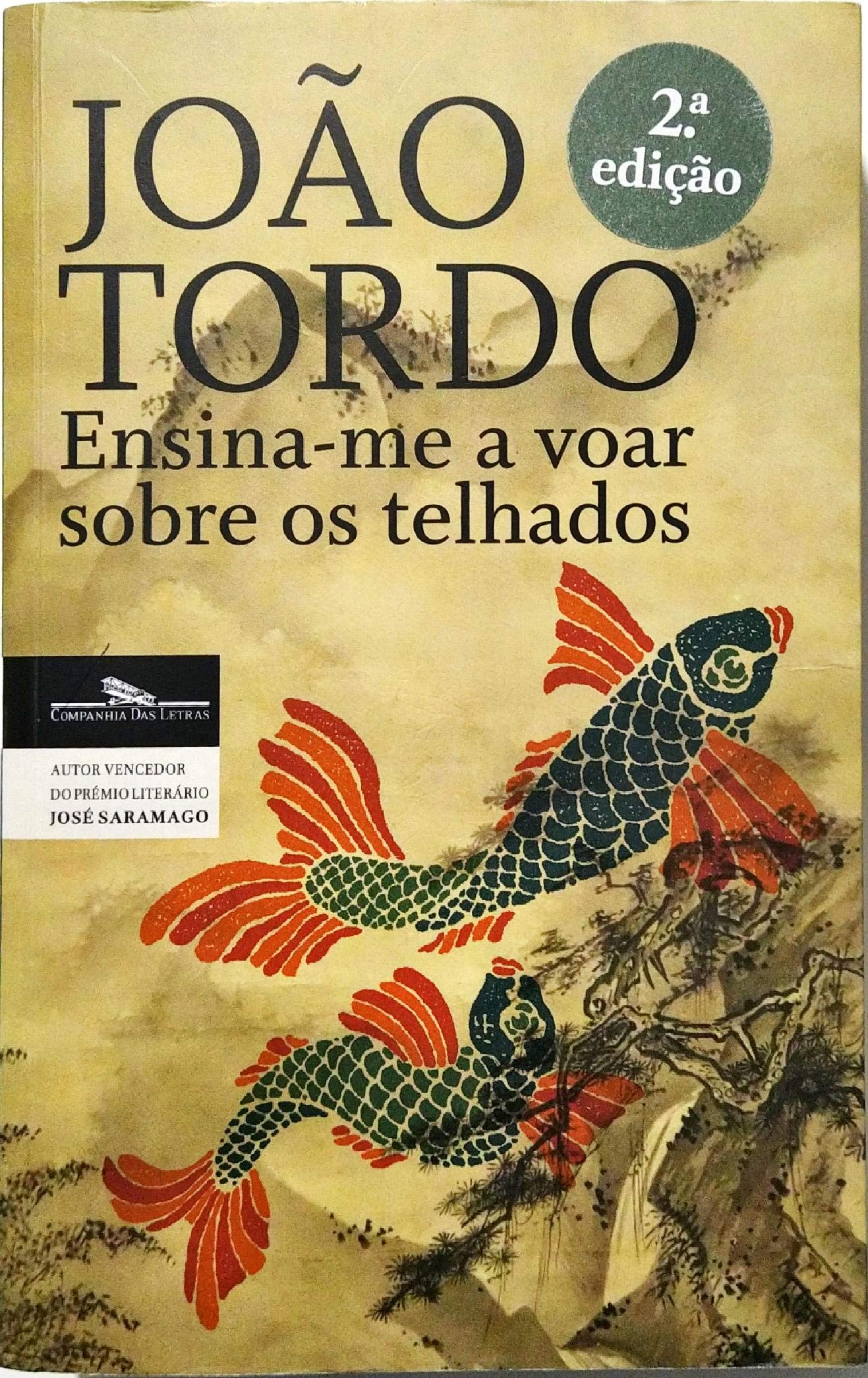 Ensina-me a Voar sobre os Telhados book