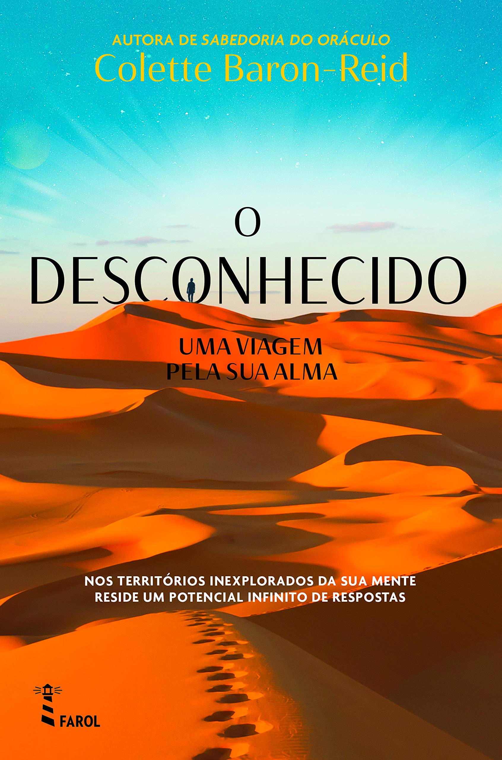 O Desconhecido: Uma Viagem pela sua Alma (Portuguese Edition) book