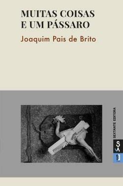 Muitas Coisas e um pássaro (Portuguese Edition) Joaquim Pais de Brito book