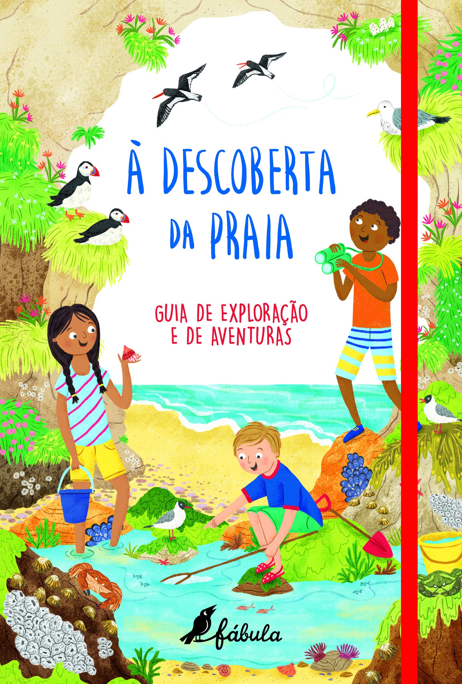 À Descoberta da Praia (Portuguese Edition) book