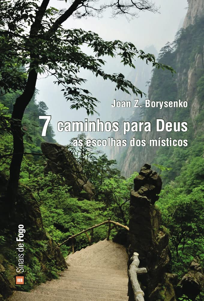 7 Caminhos Para Deus (Portuguese Edition) Joan Z. Borysenko book