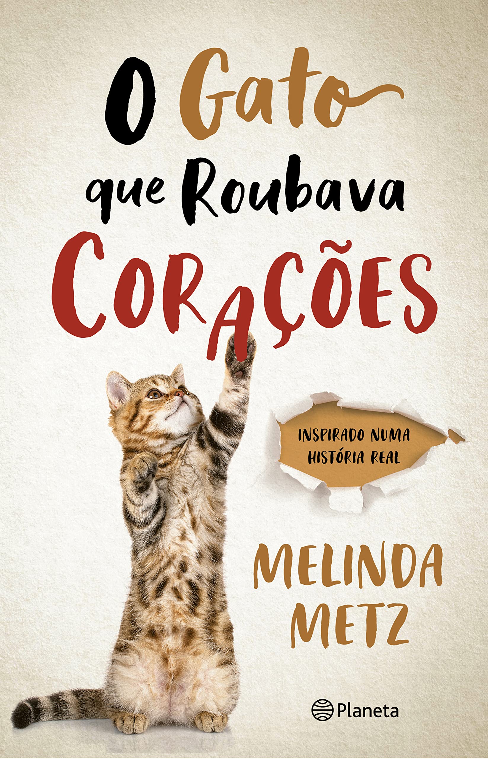 O Gato que Roubava Coraçoes book
