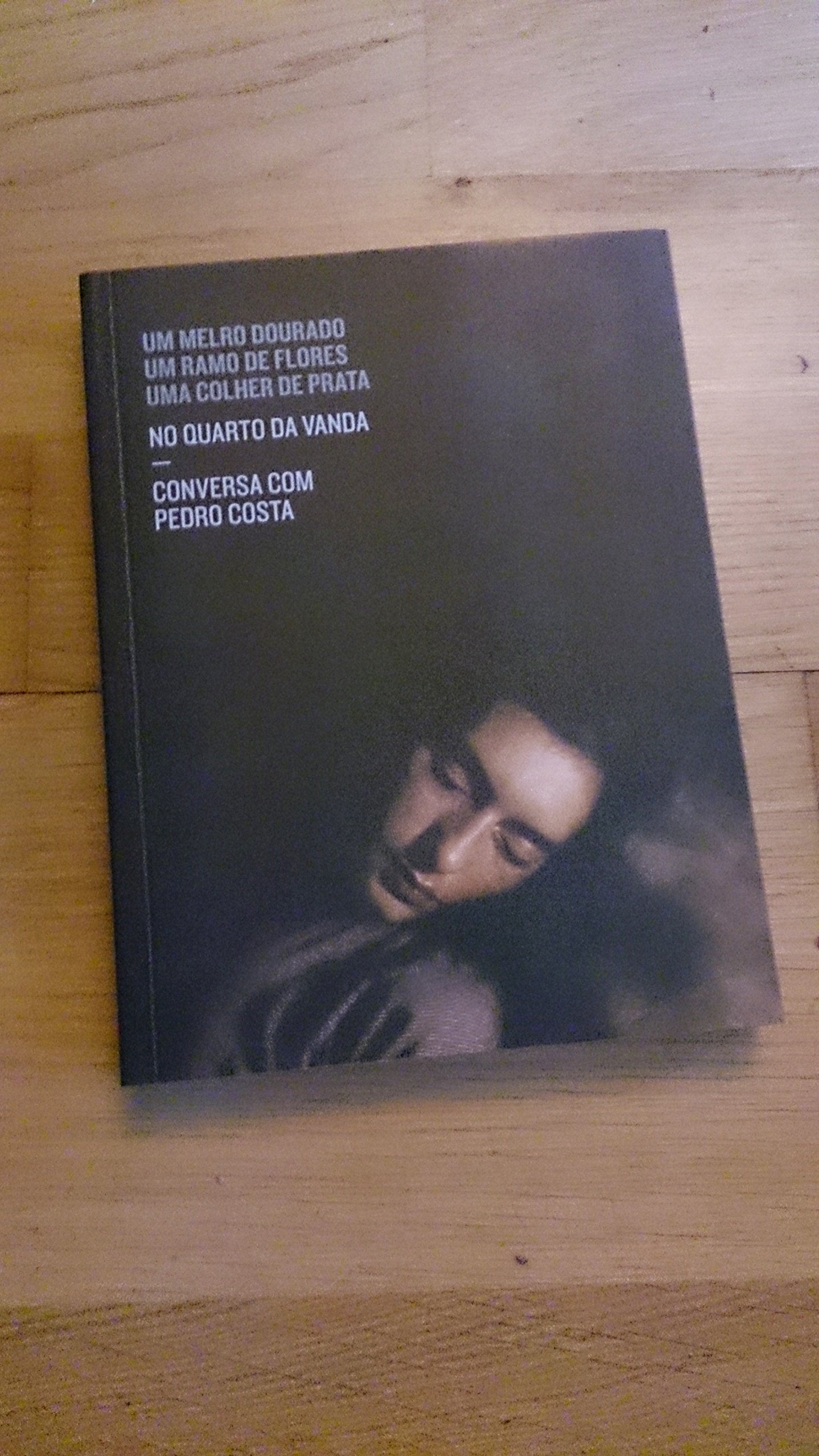 Um Melro Dourado, Um Ramo de Flores, Uma Colher de Prata: No Quarto da Vanda: Conversa com Pedro Costa Pedro Costa, Cyril Neyrat, Andy Rector book