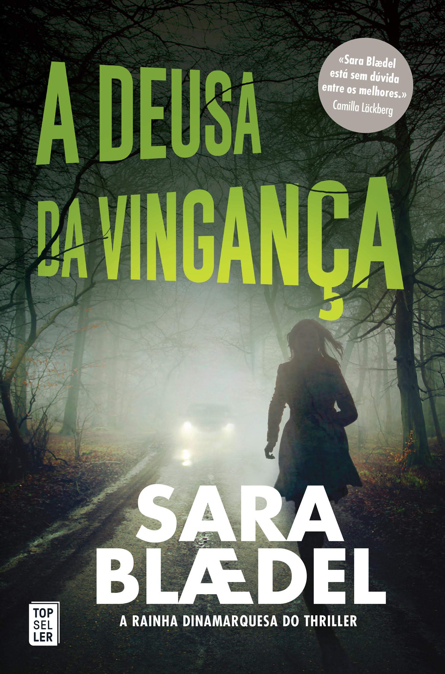 A Deusa da Vingança 2 (Portuguese Edition) book