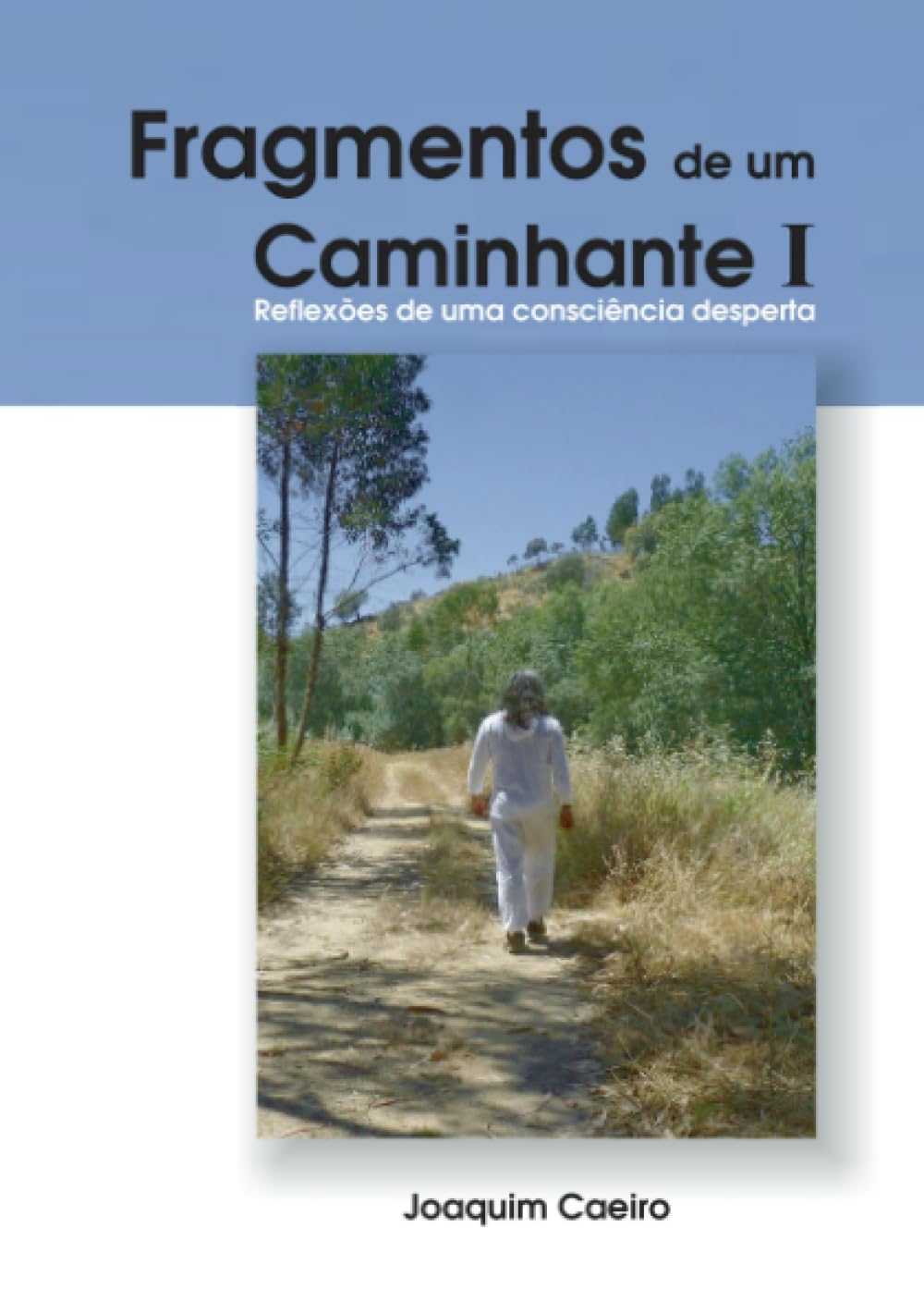 Fragmentos de um Caminhante I: Reflexões de uma consciência desperta book
