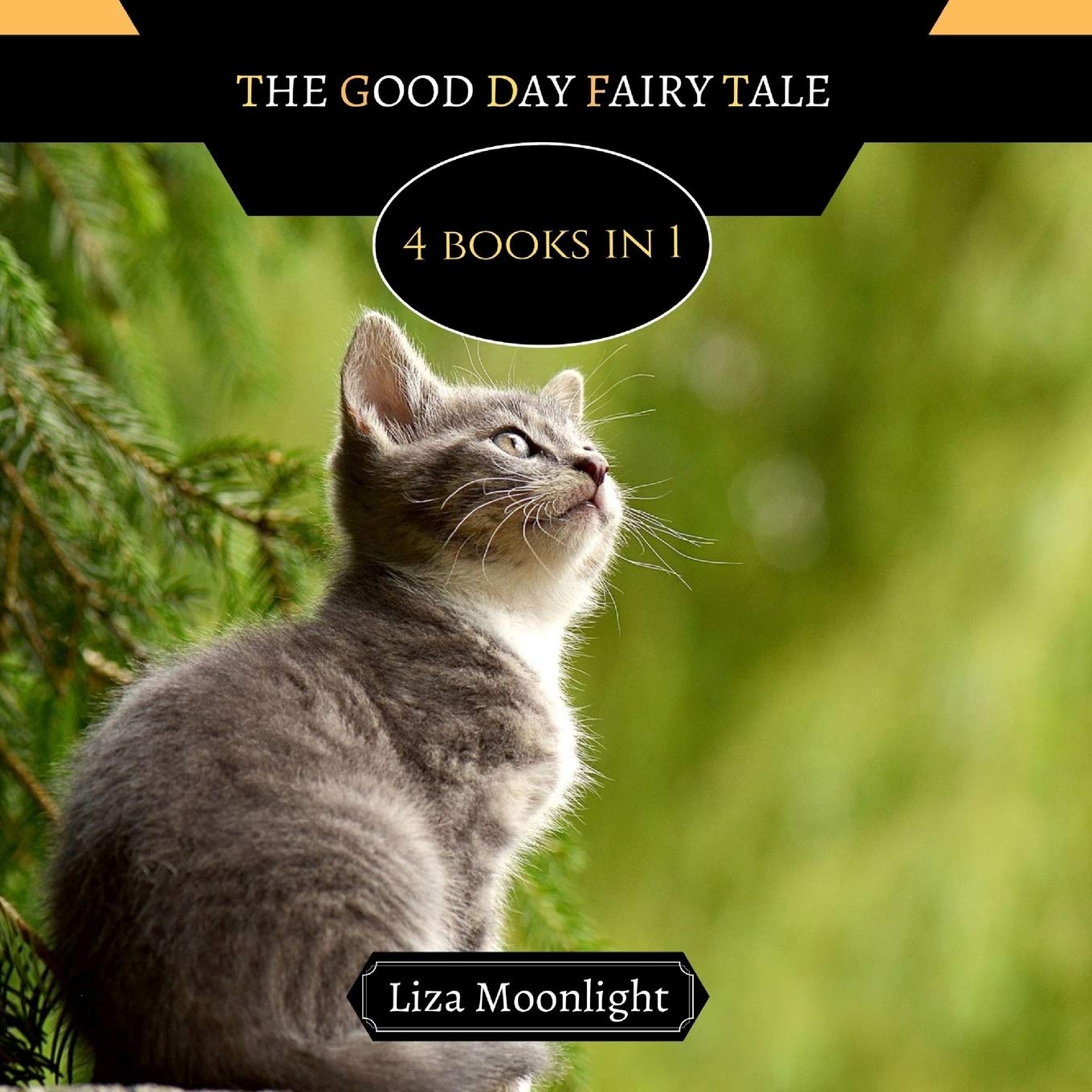The Good Day Fairy Tale: 4 Books In 1 book