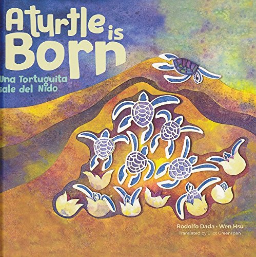 Una tortuguita sale del nido/ A turtle is born book