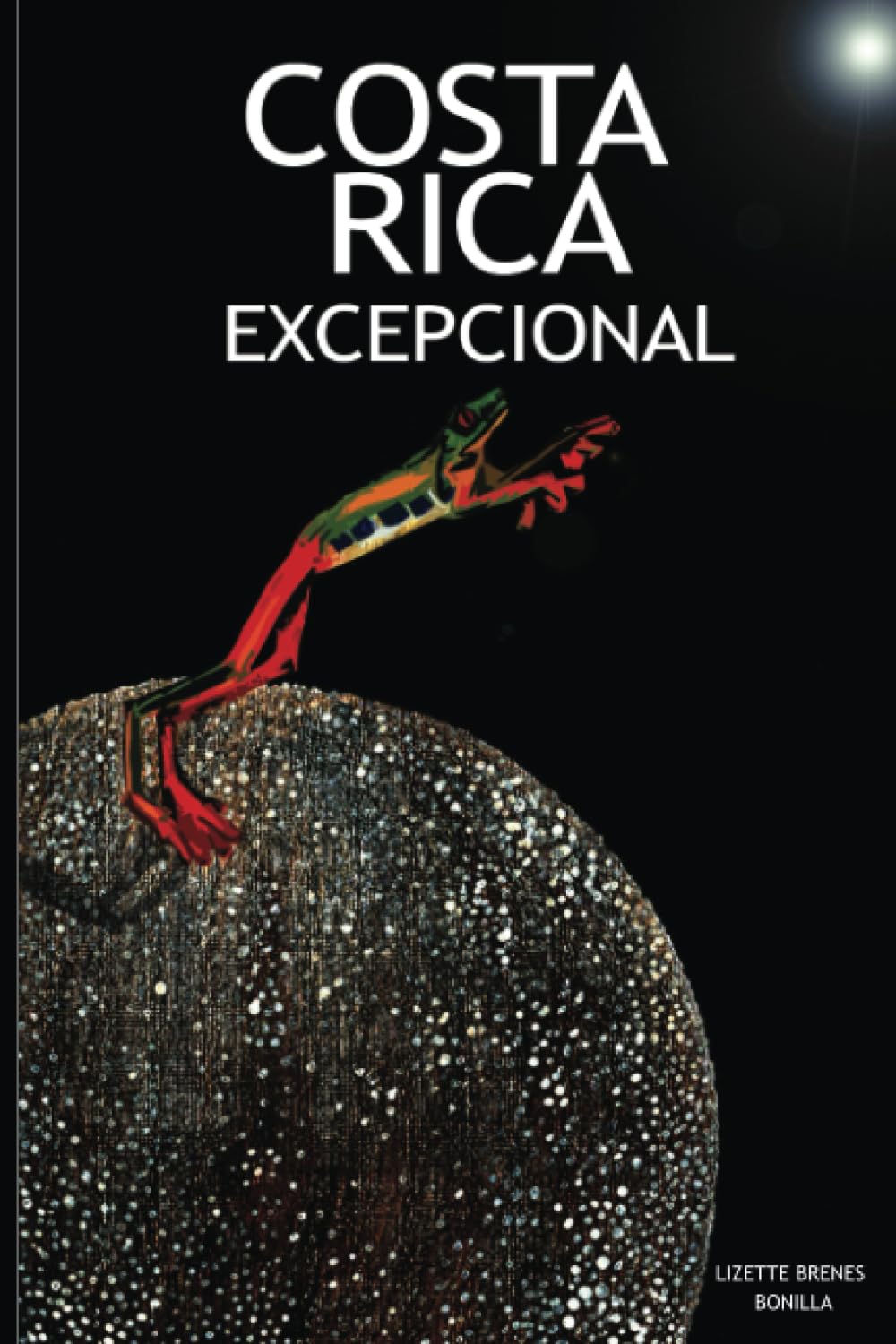 Costa Rica Excepcional: Innovación Social book