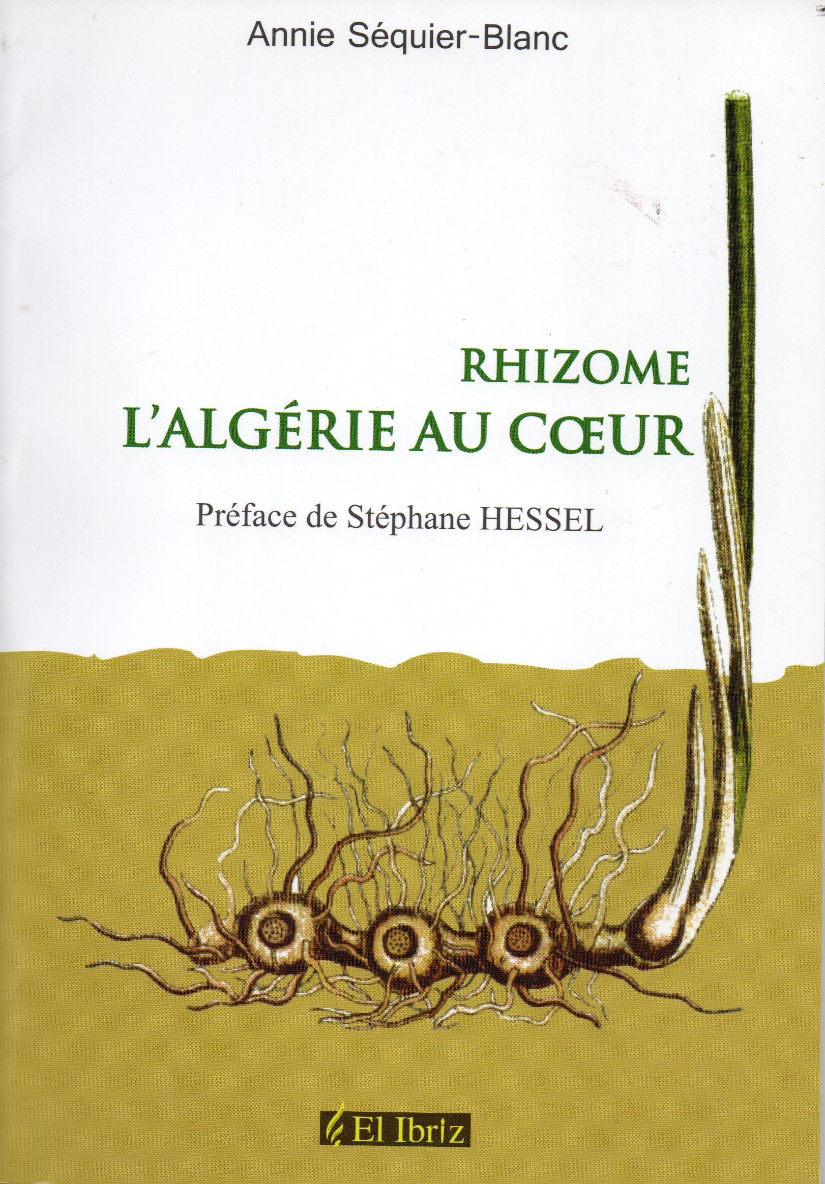 RHIZOME - L'ALGERIE AU COEUR book