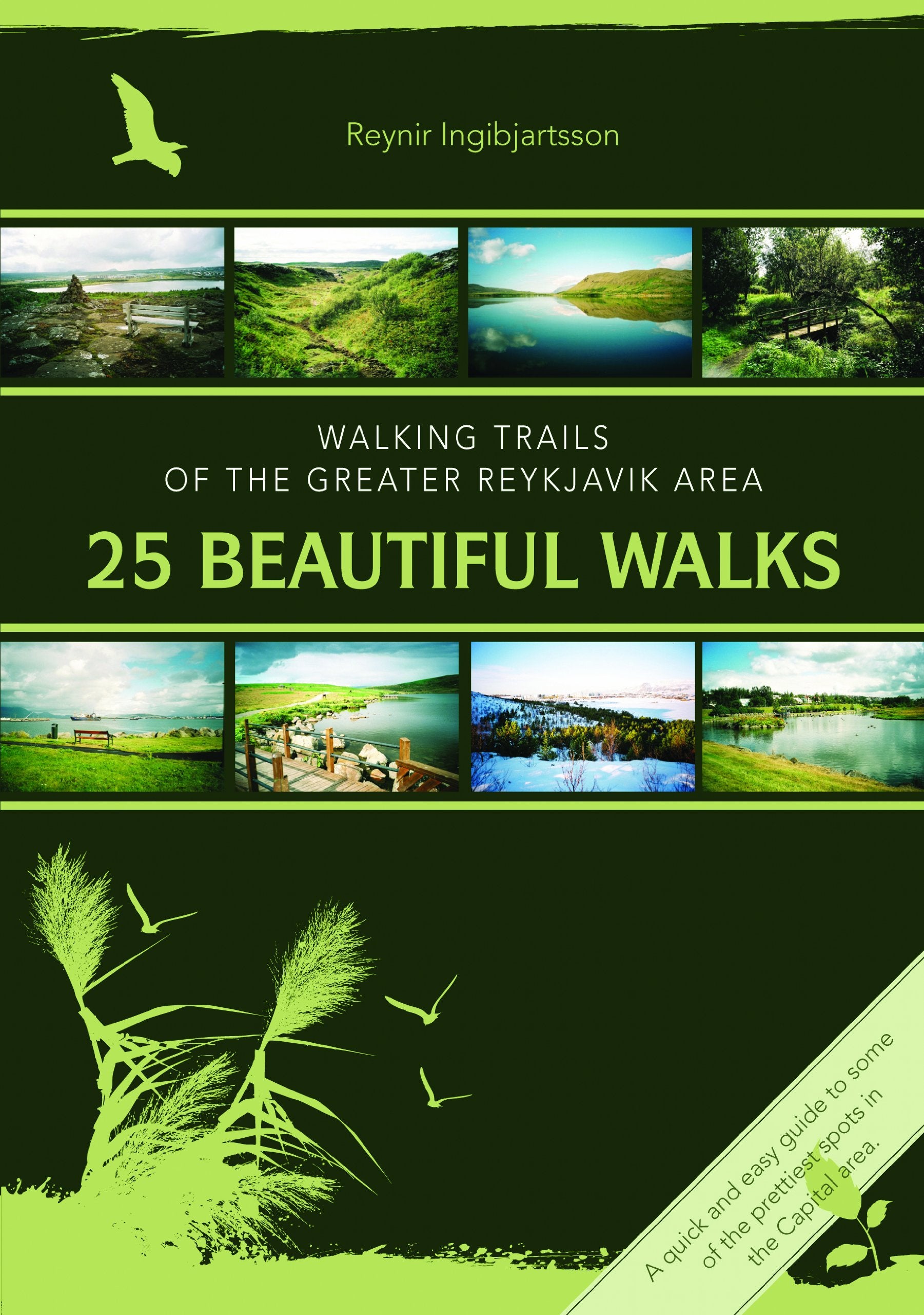 Walking Trails of the Greater Reykjavik Area: 25 Beautiful Walks. (Icelandic Book) book