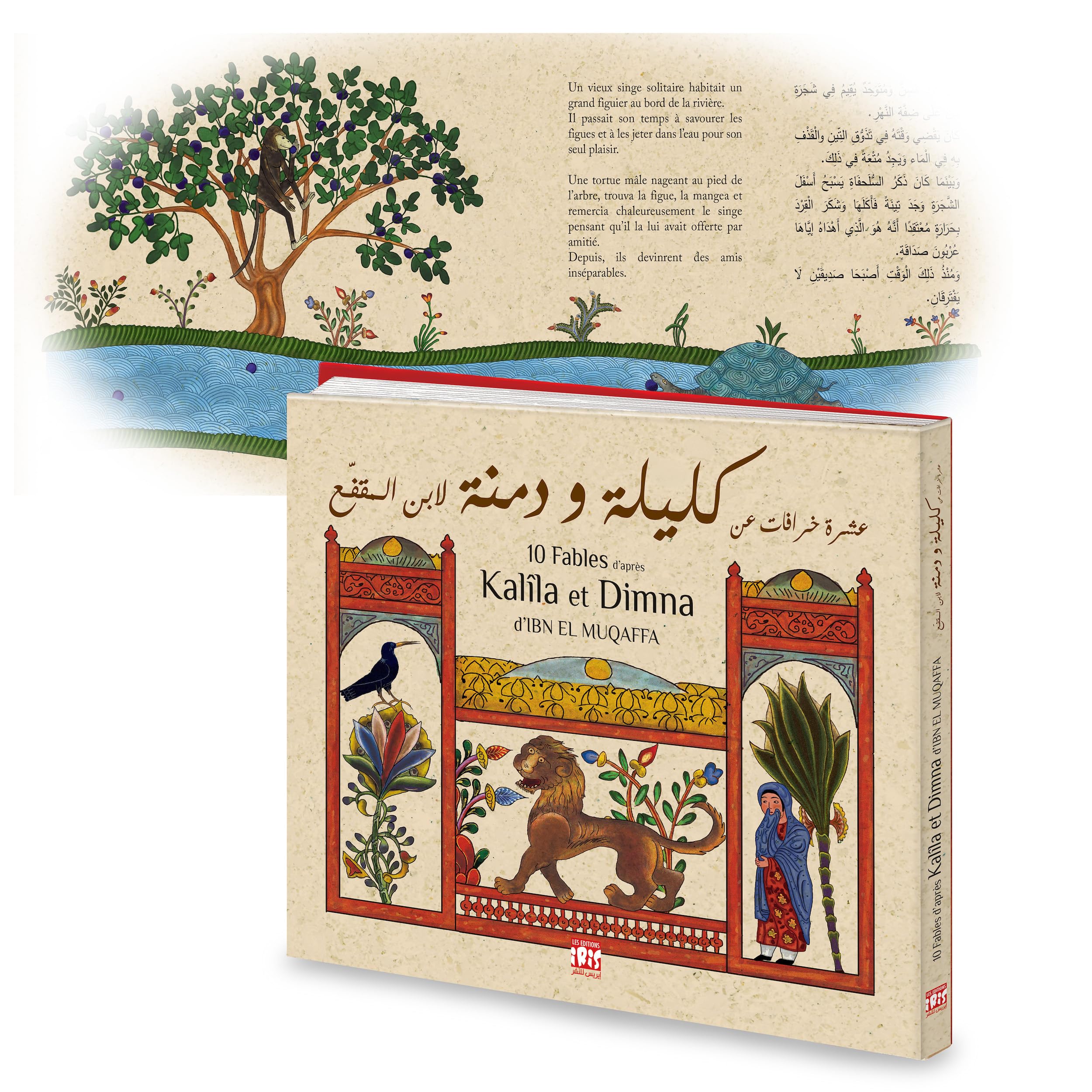 10 FABLES D'APRES KALILA ET DIMNA AR/FR - EDITION BILINGUE book