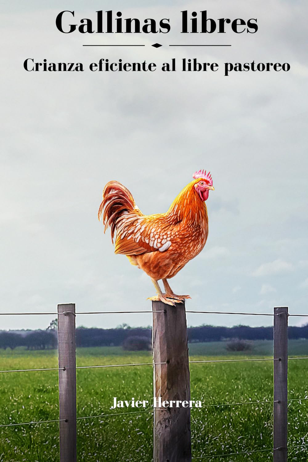 Gallinas Libres: Crianza eficiente al libre pastoreo (Innovacion en la crianza de gallinas al libre pastoreo, Band 1) Books