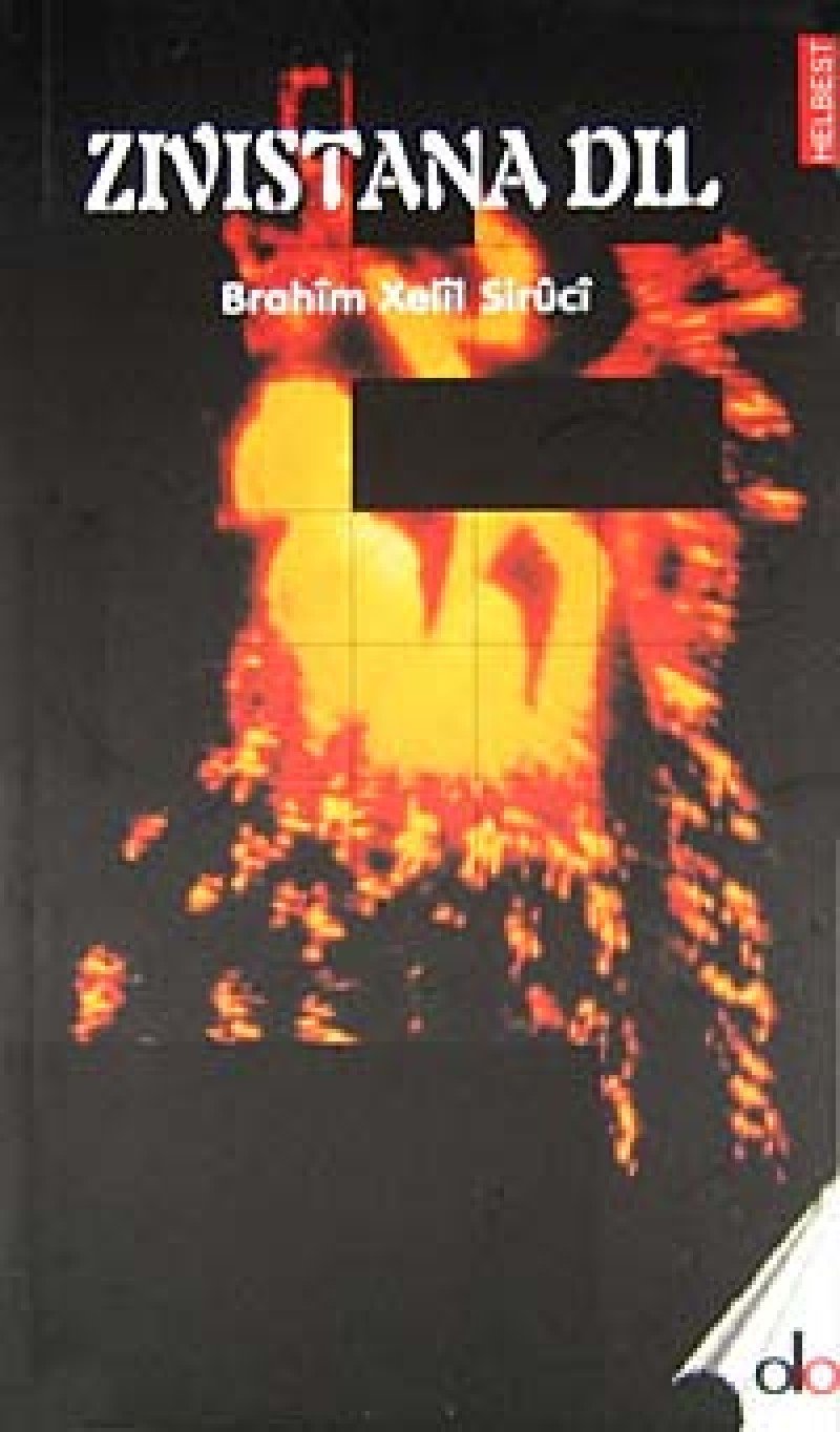Zivistana Dil Books