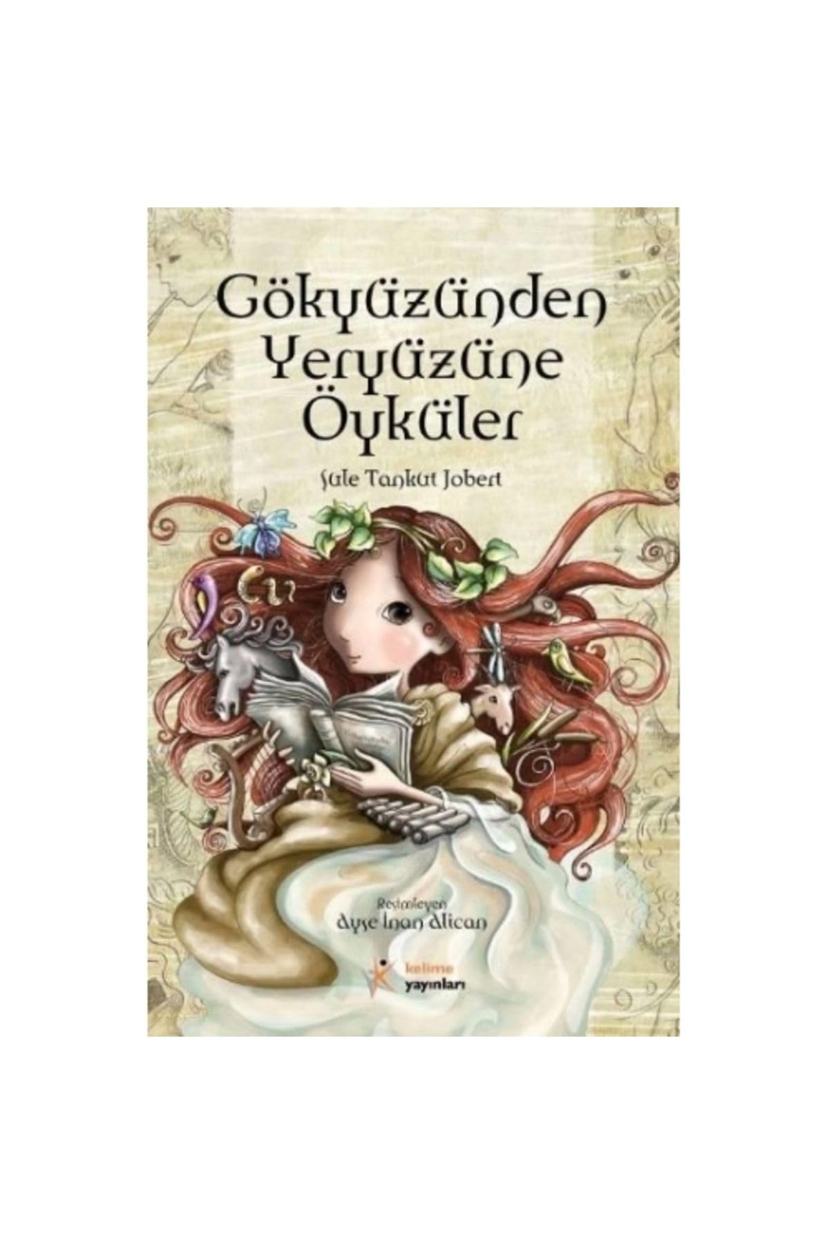GÖKYÜZÜNDEN YERYÜZÜNE ÖYKÜLER book