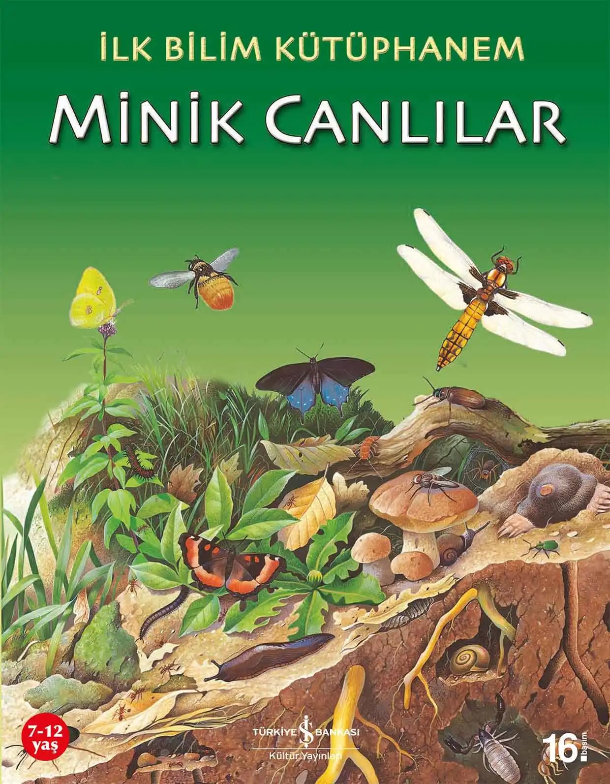 Ilk Bilim Kütüphanem - Minik Canlilar Social Sciences