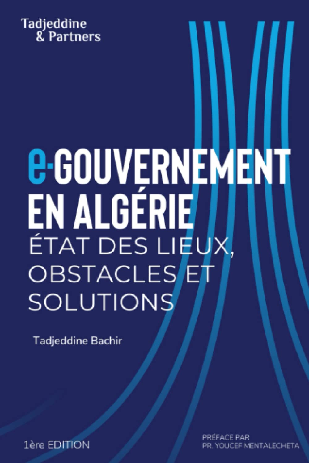 E-GOUVERNEMENT EN ALGERIE : ETAT DES LIEUX, OBSTACLES ET SOLUTIONS book