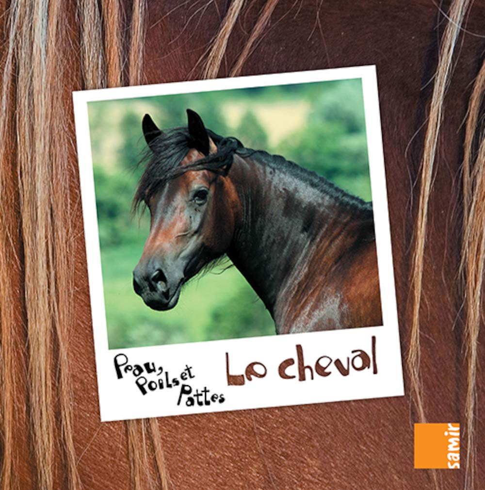 Peau, poils et pattes - Le cheval book